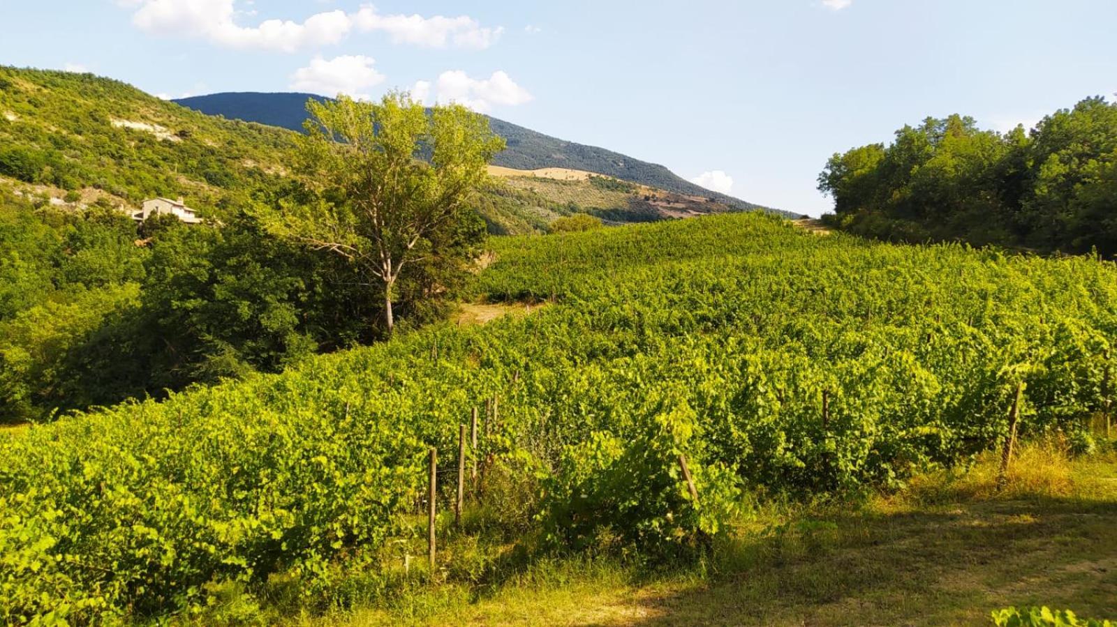Re Artu Assisi Country Lifestyle Apart otel Dış mekan fotoğraf