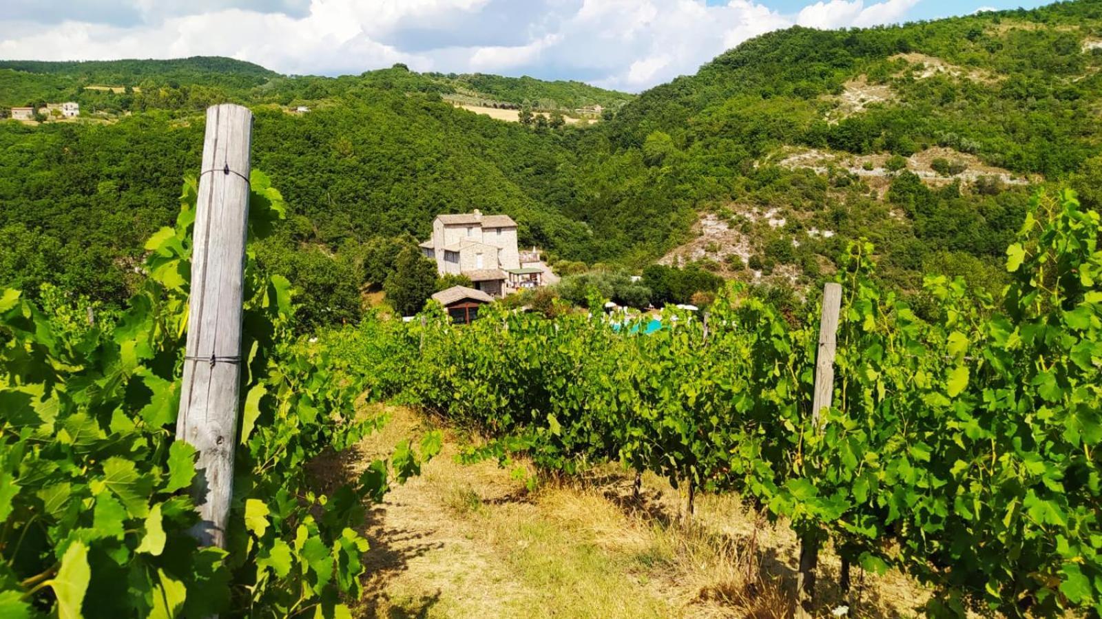 Re Artu Assisi Country Lifestyle Apart otel Dış mekan fotoğraf